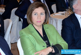   Deputy Chairperson: Armenia always laid claims to Azerbaijani lands  
