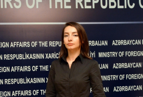 Attaining foreign policy goals - duty of Azerbaijani diplomats - MFA spokeswoman - UPDATED