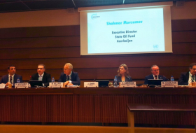 SOFAZ Executive Director attends 10th UNCTAD World Investment Forum