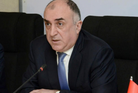 Azerbaijani FM meets with French co-chair of OSCE MG