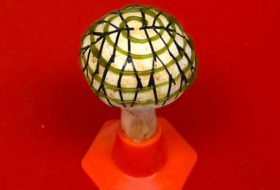 Meet the bionic mushroom that can generate electricity