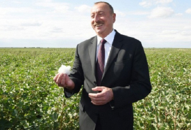 President Ilham Aliyev viewed cotton field in Hindarkh settlement in Aghjabadi 