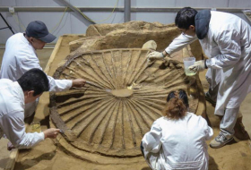 Chinese archaeologists unveil deluxe carriage from 2,500 years ago