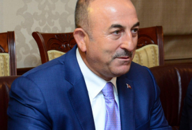    Turkish FM to visit Azerbaijan   