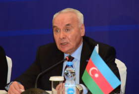 Conflicts in BSEC area affect region’s dev't - Azerbaijani deputy FM