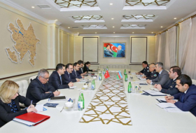  Azerbaijan, Turkey mull cooperation in migration field 