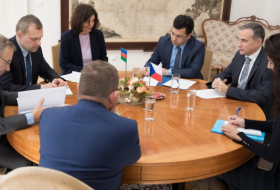  Senate President hails successful activities of Czech-Azerbaijani interparliamentary friendship groups 