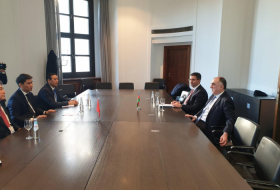 Azerbaijani, Kyrgyz FMs mull preparations for Turkic Council summit