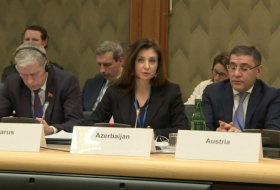  Advantages of ASAN service discussed at OSCE PA meeting 