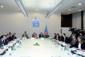   Azerbaijan-Germany trade grew 61 percent in 2018, deputy minister of economy  