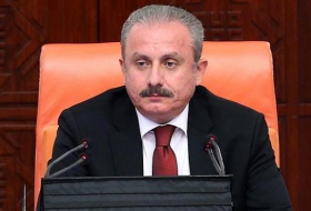   Azerbaijan’s problems are Turkey’s problems - parliament speaker  