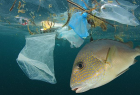  Plastic pollution   is one of the major health threats to the world