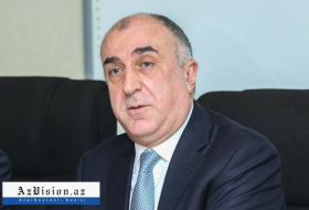   Azerbaijani FM meets with Director General of International Centre for Migration Policy Development  