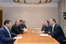   President Ilham Aliyev meets Austrian vice-chancellor  