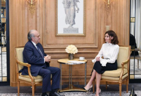 First VP of Azerbaijan Mehriban Aliyeva meets founder of French National Cancer Institute -UPDATED