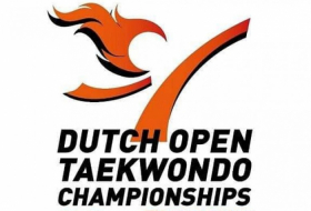 Azerbaijani taekwondo fighters win 8 medals in Netherlands