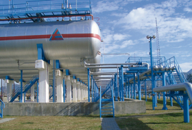   Azerbaijan, Algeria can establish cooperation in supply of liquefied gas  