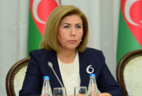   Vice speaker: Azerbaijan is platform for co-op and dialogue  