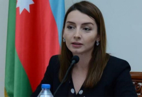   Azerbajani lands occupied by Armenia will return back under control of Azerbaijan-Leyla Abdullayeva  