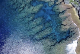 Drone spots odd geometric shapes swarming in South Pacific -  VIDEO 