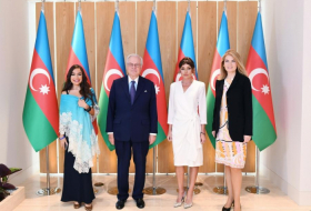  First Vice-President of Azerbaijan meets with head of Rothschild Global Financial Advisory 