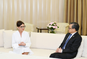  First VP Mehriban Aliyeva meets UN Under-Secretary-General - UPDATED