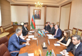   Azerbaijani, Bulgarian FMs meet in Baku  