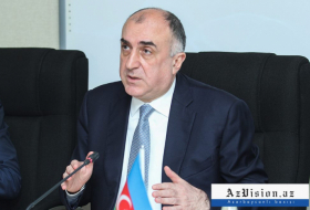 OSCE MG co-chairs presented additional documents - Azerbaijani FM  