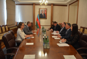   German ambassador presents copy of credentials to Azerbaijani FM  
