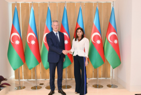  First VP Mehriban Aliyeva meets French minister of economy and finance - PHOTOS