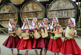  First Grape and Wine Festival opens in Azerbaijan’s Shamakhi district - PHOTOS