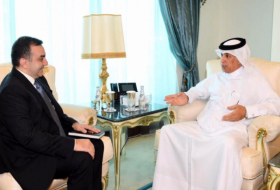   Azerbaijan, Qatar discuss cooperation prospects  