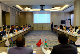   Turkey holds first meeting of Coordinating Councils of Azerbaijanis living abroad  