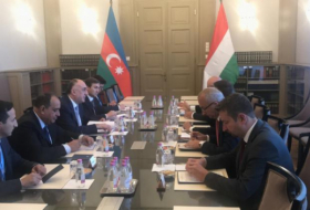  Azerbaijani Foreign Minister met with his Hungarian counterpart 