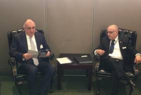  Azerbaijani FM meets with Argentinian and Dutch counterparts 