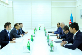   Azerbaijan's trade turnover with CCTS countries up - Minister    