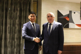  Elmar Mammadyarov meets with the Kyrgyz Foreign Minister Chingiz Aydarbekov  