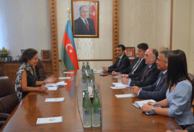  Azerbaijani FM meets French envoy upon completion of her diplomatic term 