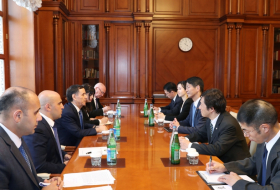   Prime Minister Novruz Mammadov meets with Japanese parliamentary vice-minister for foreign affairs  