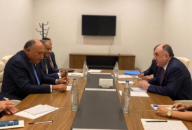  Azerbaijan's FM Mammadyarov met his Egyptian and Jordan counterparts 
