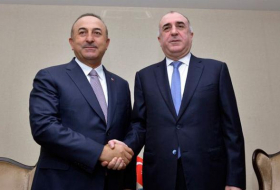  Turkey thanks Azerbaijan for its support to Operation Peace Spring    