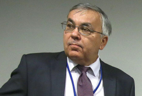 Russian deputy FM: Azerbaijan to effectively chair NAM
