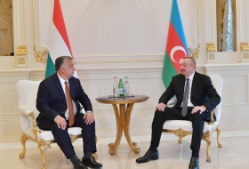  Azerbaijani President meets with Hungarian PM 