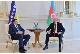  President Ilham Aliyev meets Chairman of Presidency of Bosnia and Herzegovina Milorad Dodik 
