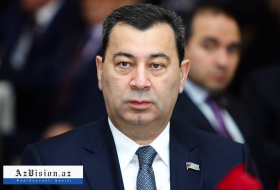   Samad Seyidov: Radical opposition lies saying EU refuses to send observers to Azerbaijan  