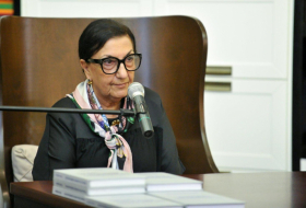   Dilara Seyidzade awarded personal presidential pension  
