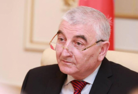   Mazahir Panahov: Citizens wishing to be elected to parliament can apply to CEC  