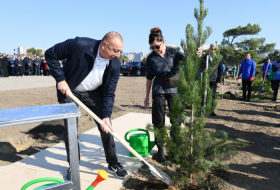  German portal highlights tree planting campaign held in Azerbaijan 