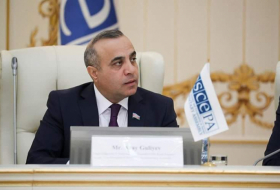  Azerbaijan informs OSCE PA about new innovative brand “SƏLİS” 