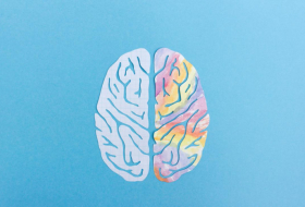   Left brain vs. right brain:   Fact and fiction    